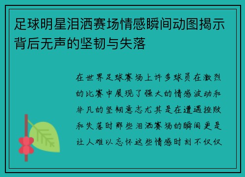 足球明星泪洒赛场情感瞬间动图揭示背后无声的坚韧与失落