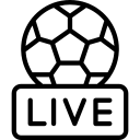 皮佳茂